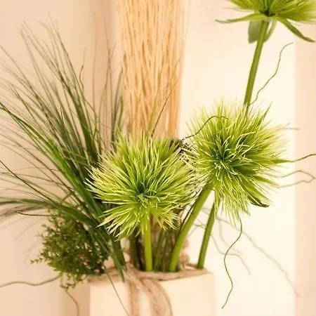 Schmugglerhus בית נופש *